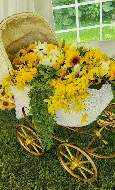 Downers Grove Event Planner